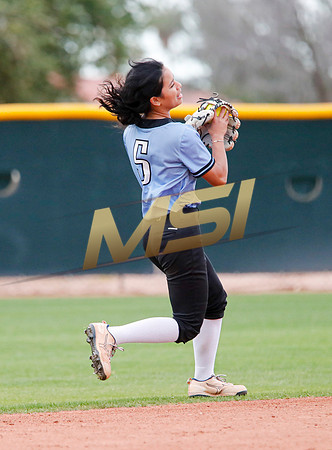 AIA Softball 4A