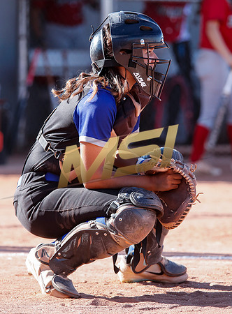 The  West Point Dragons girls softball team take on the Dobson Mustangs