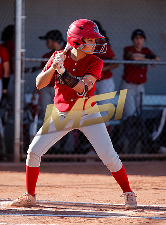 The  West Point Dragons girls softball team take on the Dobson Mustangs