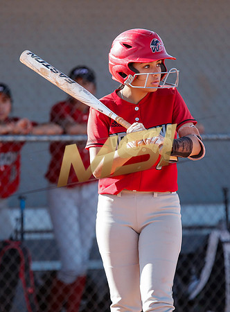 The  West Point Dragons girls softball team take on the Dobson Mustangs