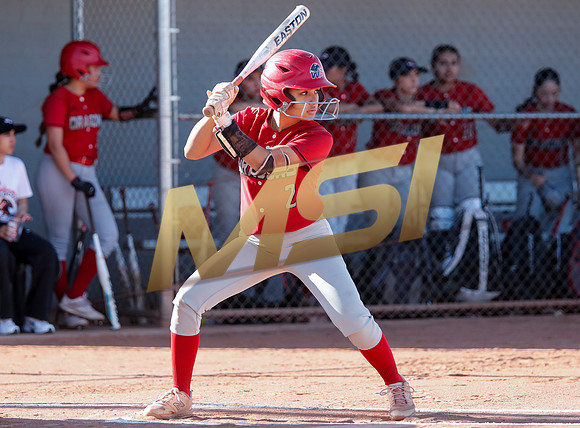 The  West Point Dragons girls softball team take on the Dobson Mustangs