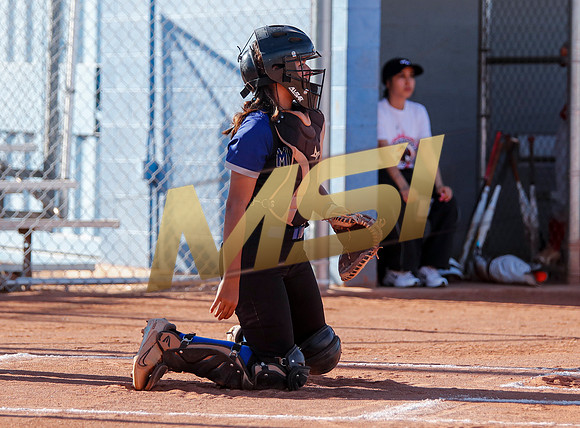 The  West Point Dragons girls softball team take on the Dobson Mustangs