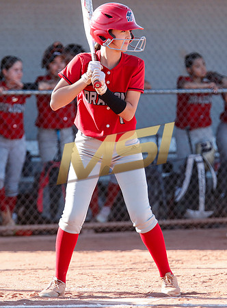 The  West Point Dragons girls softball team take on the Dobson Mustangs