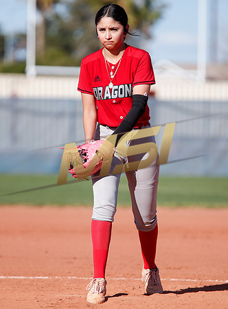 The  West Point Dragons girls softball team take on the Dobson Mustangs