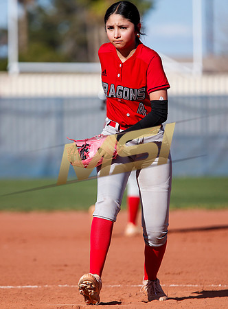 The  West Point Dragons girls softball team take on the Dobson Mustangs