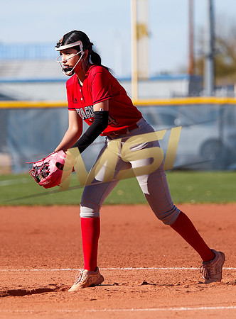 The  West Point Dragons girls softball team take on the Dobson Mustangs