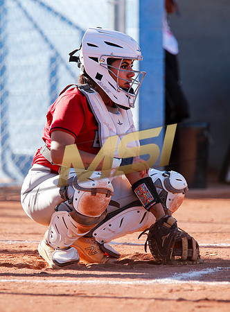 The  West Point Dragons girls softball team take on the Dobson Mustangs