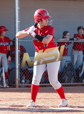 The  West Point Dragons girls softball team take on the Dobson Mustangs