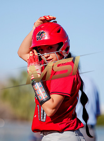 The  West Point Dragons girls softball team take on the Dobson Mustangs