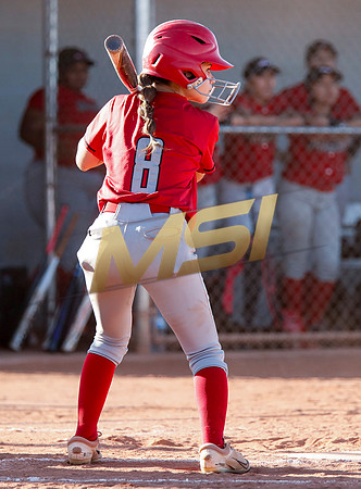 The  West Point Dragons girls softball team take on the Dobson Mustangs