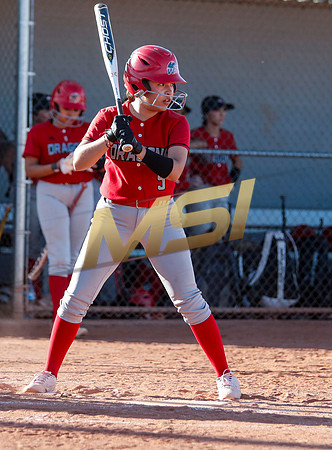 The  West Point Dragons girls softball team take on the Dobson Mustangs