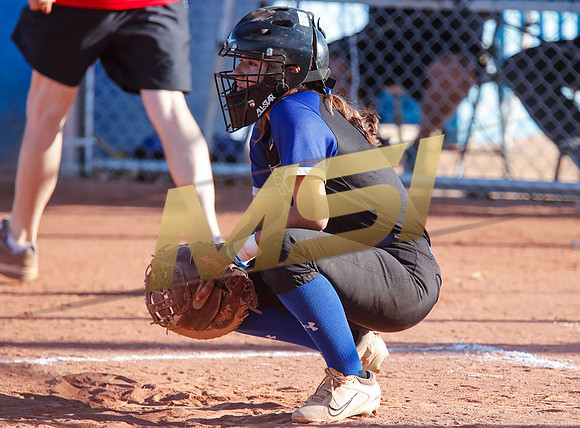 The  West Point Dragons girls softball team take on the Dobson Mustangs