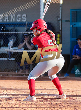 The  West Point Dragons girls softball team take on the Dobson Mustangs