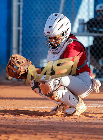 The  West Point Dragons girls softball team take on the Dobson Mustangs