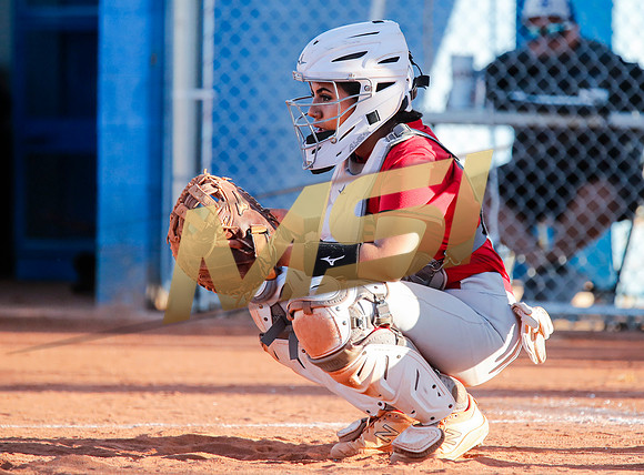 The  West Point Dragons girls softball team take on the Dobson Mustangs