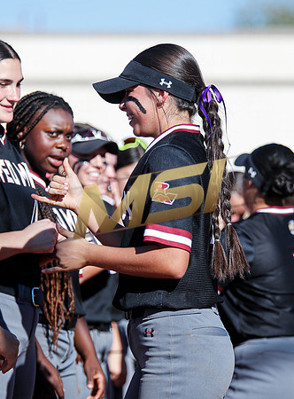 The  Red Mountain girls softball team take on the Basha Bears