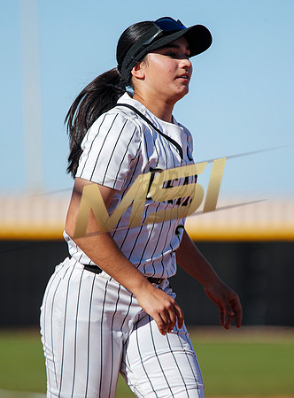 The  Red Mountain girls softball team take on the Basha Bears