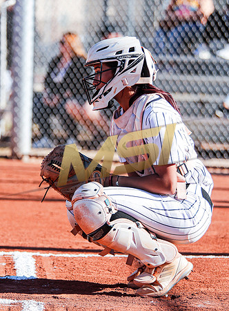 The  Red Mountain girls softball team take on the Basha Bears