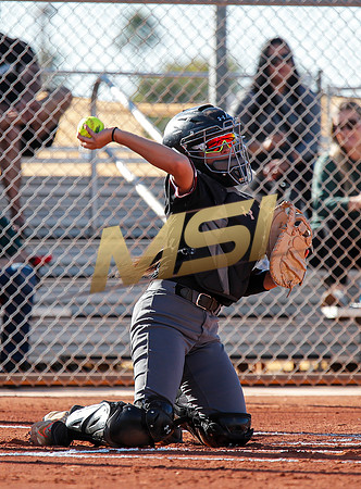 The  Red Mountain girls softball team take on the Basha Bears