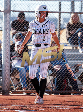 The  Red Mountain girls softball team take on the Basha Bears