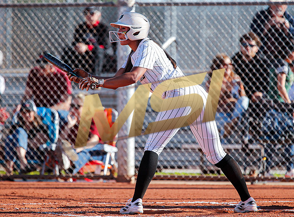 The  Red Mountain girls softball team take on the Basha Bears