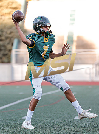 CCHS @ Patrick Henry High School Freshmen Football