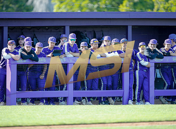 The Saint Augstine Saints baseball beam take on the San Marcos Knights