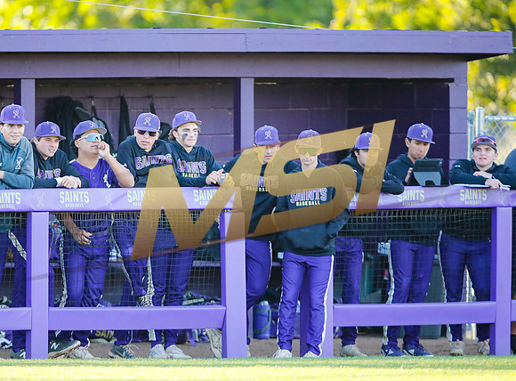 The Saint Augstine Saints baseball beam take on the San Marcos Knights