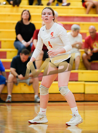AIA 4A Desert Sky Girls Volleyball