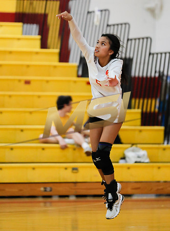 AIA 4A Desert Sky Girls Volleyball