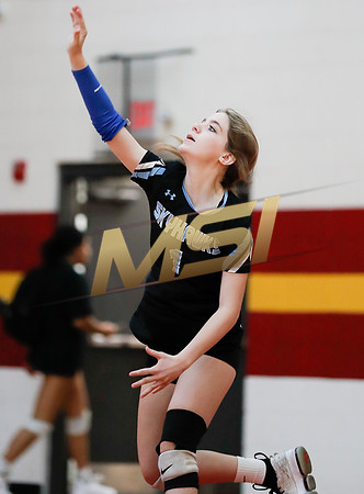 AIA 4A Desert Sky Girls Volleyball