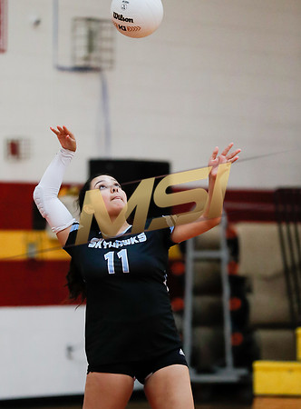 AIA 4A Desert Sky Girls Volleyball