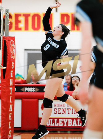 AIA 4A Desert Sky Girls Volleyball