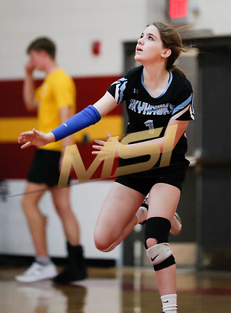 AIA 4A Desert Sky Girls Volleyball