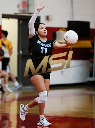 AIA 4A Desert Sky Girls Volleyball