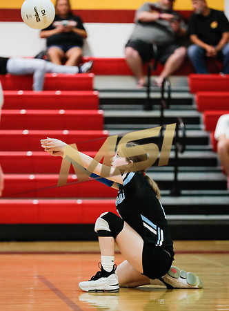 AIA 4A Desert Sky Girls Volleyball