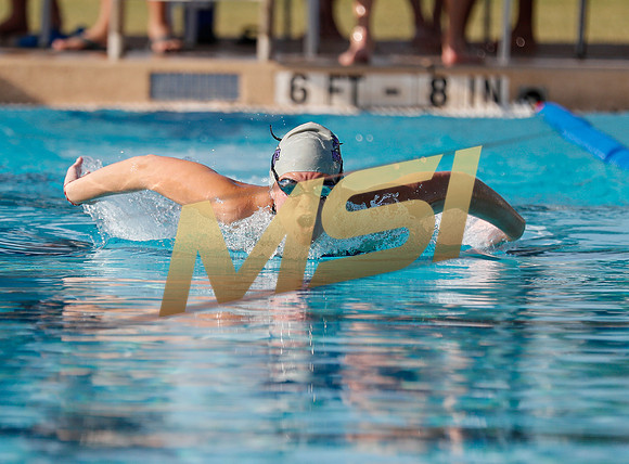 AIA DIII - Arizona College Prep & Chandler Prep Swim Meet