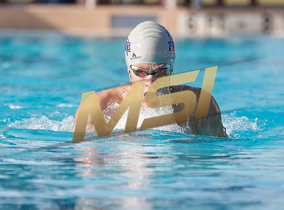 AIA DIII - Arizona College Prep & Chandler Prep Swim Meet