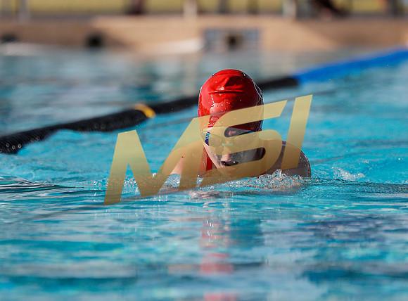 AIA DIII - Arizona College Prep & Chandler Prep Swim Meet