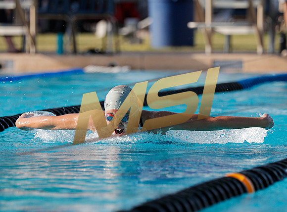 AIA DIII - Arizona College Prep & Chandler Prep Swim Meet