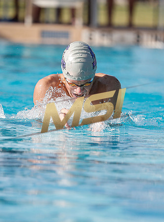 AIA DIII - Arizona College Prep & Chandler Prep Swim Meet