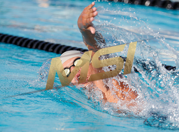 AIA DIII - Arizona College Prep & Chandler Prep Swim Meet