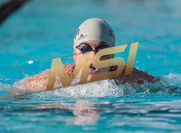 AIA DIII - Arizona College Prep & Chandler Prep Swim Meet