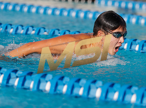 AIA DIII - Arizona College Prep & Chandler Prep Swim Meet