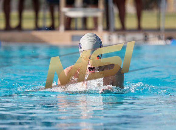 AIA DIII - Arizona College Prep & Chandler Prep Swim Meet