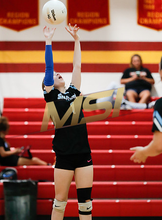 AIA 4A Desert Sky Girls Volleyball