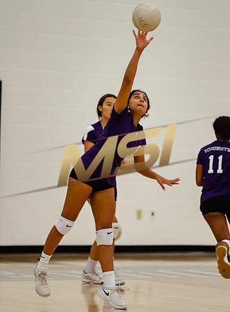 AIA Girls Volleyball