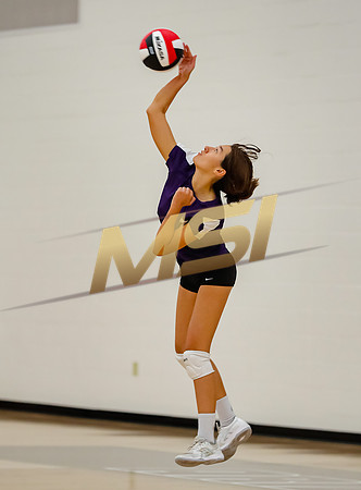 AIA Girls Volleyball