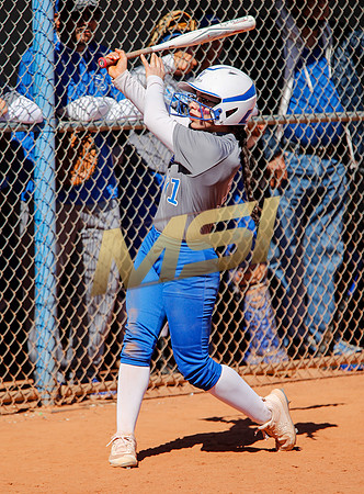 AIA Varsity Girls Softball