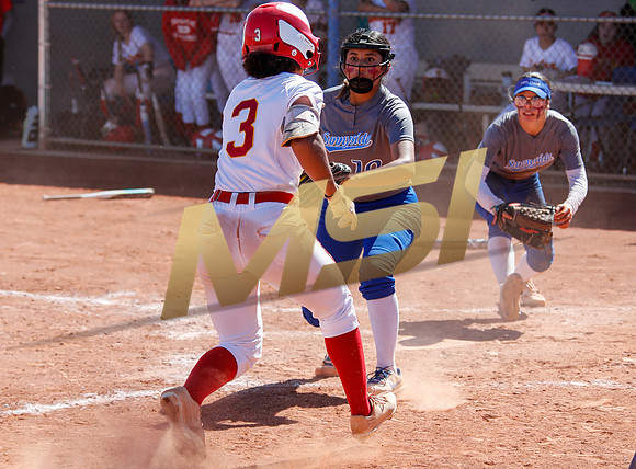 AIA Varsity Girls Softball